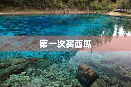 第一次买西瓜 第一次买西瓜