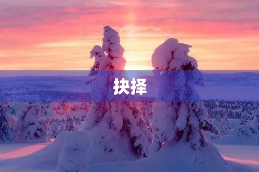 抉择