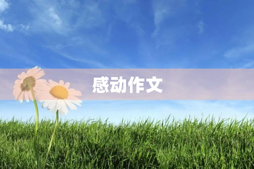 感动作文 感动作文