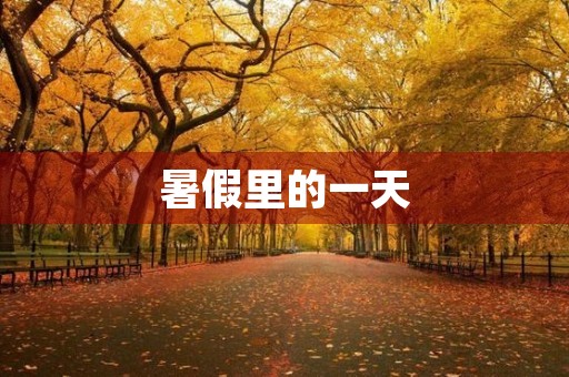 暑假里的一天