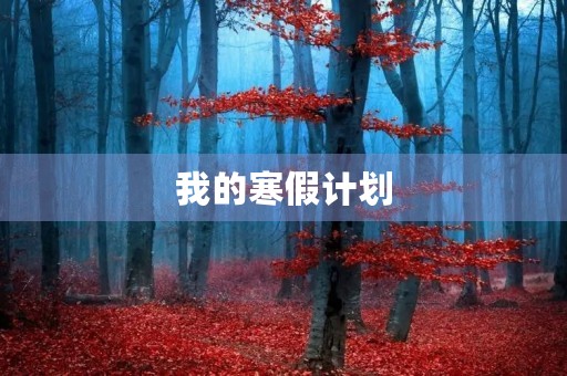 我的寒假计划