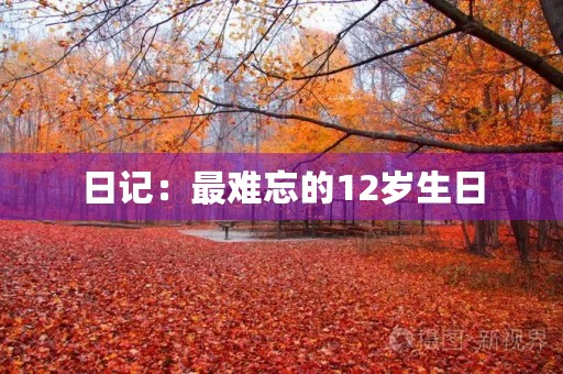 日记：最难忘的12岁生日