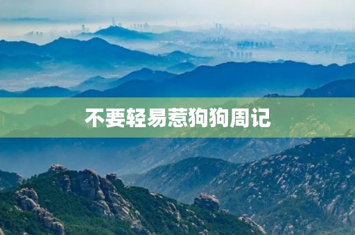 不要轻易惹狗狗周记 不要轻易惹狗狗周记