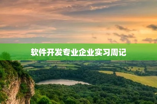 软件开发专业企业实习周记 软件开发专业企业实习周记