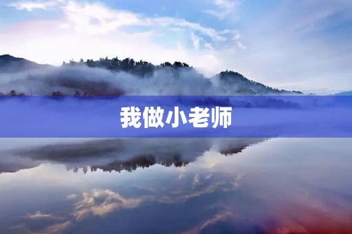 我做小老师 我做小老师