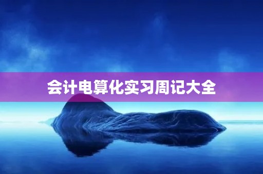 会计电算化实习周记大全 会计电算化实习周记大全