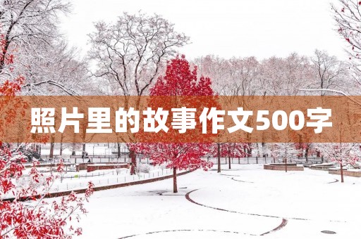 照片里的故事作文500字 照片里的故事作文500字