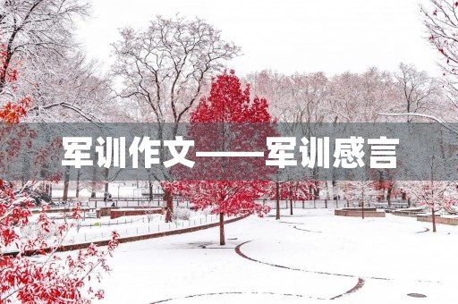 军训作文——军训感言