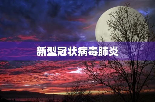 新型冠状病毒肺炎