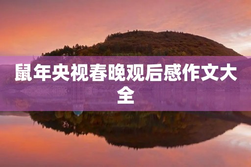 鼠年央视春晚观后感作文大全 鼠年央视春晚观后感作文大全