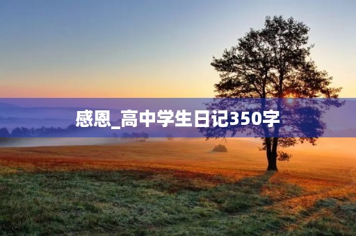感恩_高中学生日记350字