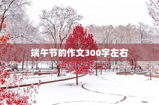 端午节的作文300字左右 端午节的作文300字左右