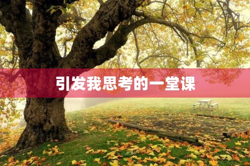 引发我思考的一堂课 引发我思考的一堂课