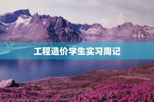 工程造价学生实习周记