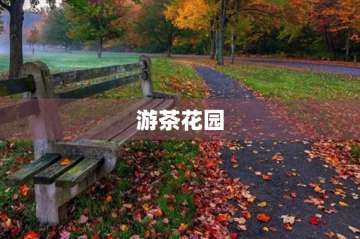 游茶花园 游茶花园