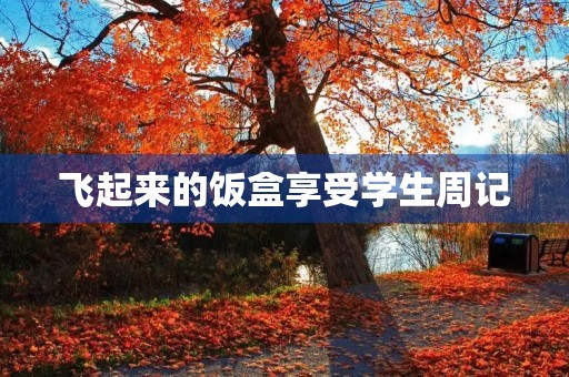 飞起来的饭盒享受学生周记 飞起来的饭盒享受学生周记
