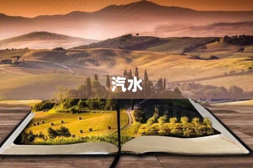 汽水