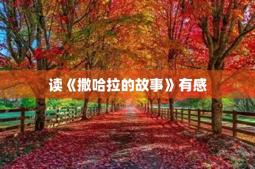 读《撒哈拉的故事》有感