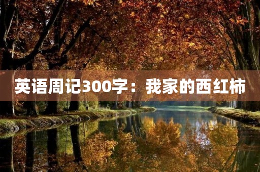英语周记300字:我家的西红柿 英语周记300字:我家的西红柿