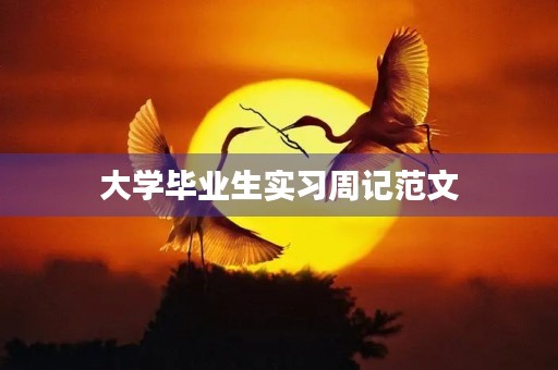 大学毕业生实习周记范文 大学毕业生实习周记范文