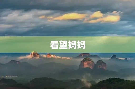 看望妈妈 看望妈妈