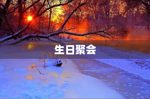 生日聚会