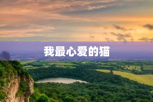 我最心爱的猫 我最心爱的猫