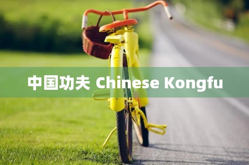 中国功夫 Chinese Kongfu