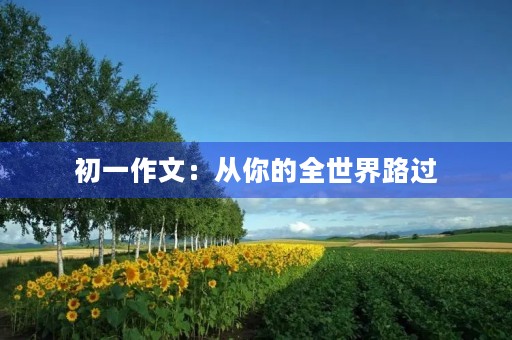 初一作文：从你的全世界路过