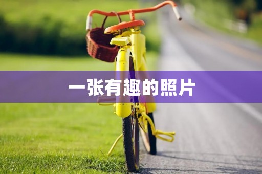 一张有趣的照片 一张有趣的照片