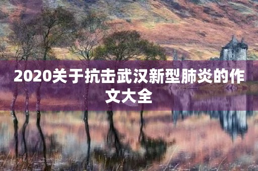 2020关于抗击武汉新型肺炎的作文大全