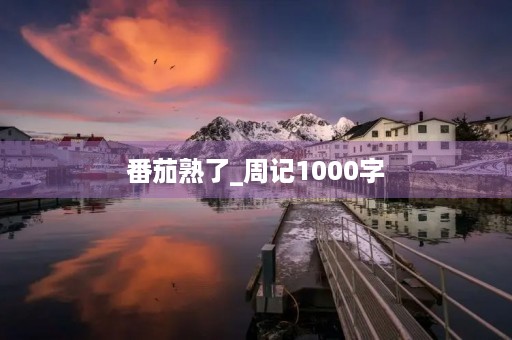 番茄熟了_周记1000字 番茄熟了_周记1000字
