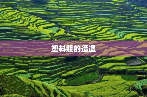 塑料瓶的遭遇 塑料瓶的遭遇