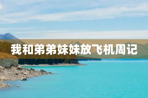 我和弟弟妹妹放飞机周记
