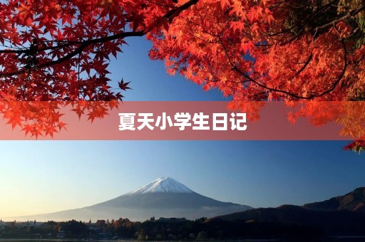 夏天小学生日记 夏天小学生日记