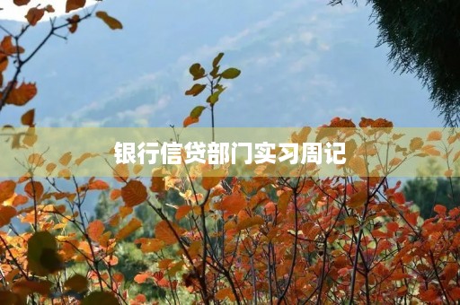 银行信贷部门实习周记