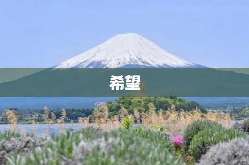 希望