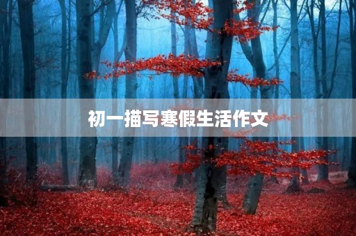 初一描写寒假生活作文 初一描写寒假生活作文