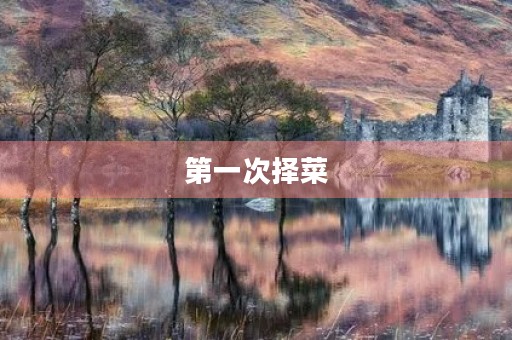 第一次择菜