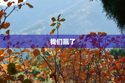 我们赢了