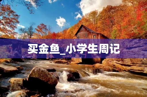 买金鱼_小学生周记 买金鱼_小学生周记