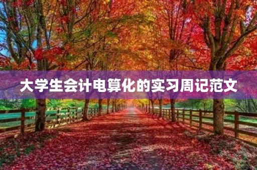 大学生会计电算化的实习周记范文 大学生会计电算化的实习周记范文