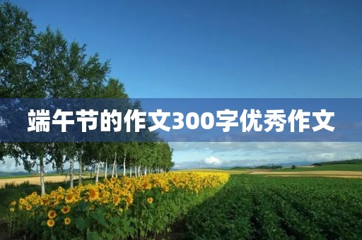 端午节的作文300字优秀作文 端午节的作文300字优秀作文