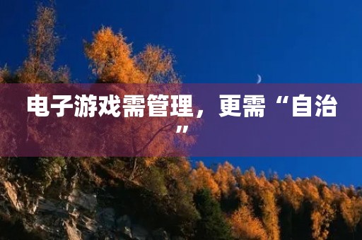 电子游戏需管理,更需“自治” 电子游戏需管理,更需“自治”