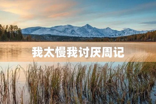 我太慢我讨厌周记 我太慢我讨厌周记