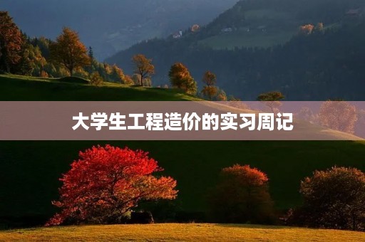 大学生工程造价的实习周记 大学生工程造价的实习周记