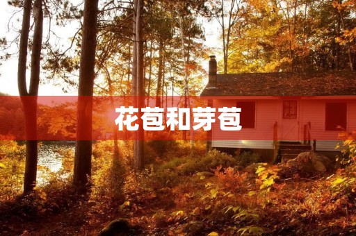 花苞和芽苞 花苞和芽苞