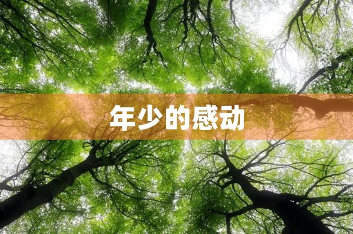 年少的感动 年少的感动