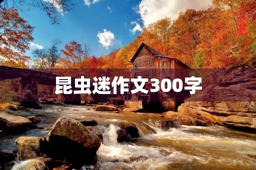 昆虫迷作文300字