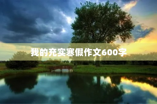 我的充实寒假作文600字